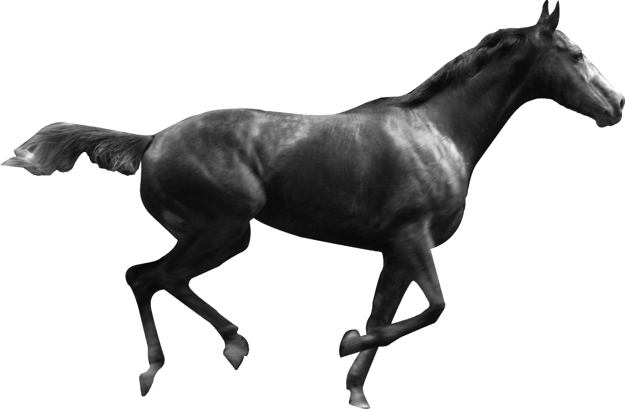 Horsetherapie.ch-Logo zeigt ein galoppierendes Rennpferd
